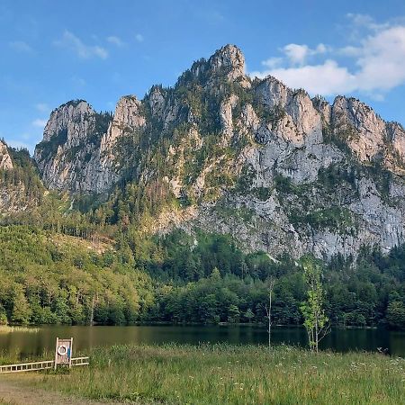 Neues Traunsee Apartment Altmuenster Luaran gambar
