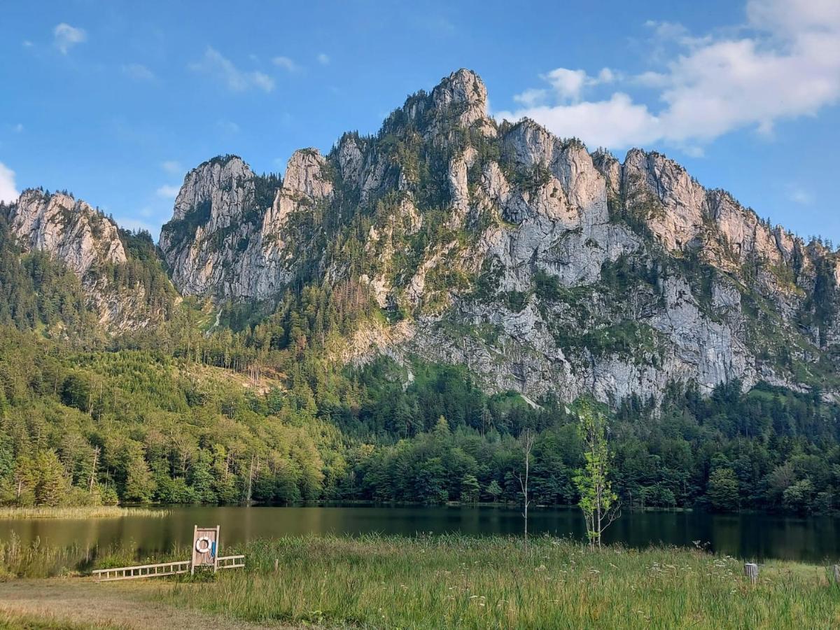 Neues Traunsee Apartment Altmuenster Luaran gambar
